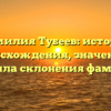 Фамилия Тубеев: история происхождения, значение и правила склонения фамилии