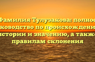 Фамилия Тулузакова: полное руководство по происхождению, истории и значению, а также правилам склонения