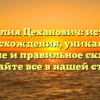 Фамилия Цеханович: история происхождения, уникальное значение и правильное склонение — узнайте все в нашей статье!