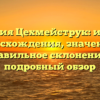 Фамилия Цехмейструк: история происхождения, значения и правильное склонение — подробный обзор