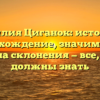 Фамилия Циганок: история и происхождение, значимость и правила склонения — все, что вы должны знать