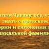 Фамилия Чабану: все, что вы хотели знать о происхождении, истории и склонении этой уникальной фамилии