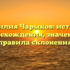 Фамилия Чарыков: история происхождения, значение и правила склонения