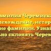 «Фамилия Черемискин: происхождение, история и значение фамилии. Узнайте как правильно склонять Черемискин»