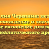 Фамилия Черепнин: история, происхождение и значение, полное склонение для вашего генеалогического древа