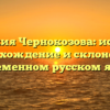 Фамилия Чернокозова: история, происхождение и склонение в современном русском языке