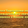 Фамилия Чернышова: история происхождения, его значение и склонение в нашем языке