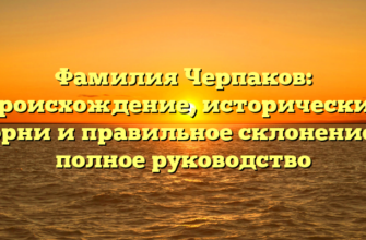 Фамилия Черпаков: происхождение, исторические корни и правильное склонение — полное руководство