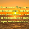 Фамилия Чорноус: происхождение, история и значение фамилии – основные факты и правильное склонение при именовании