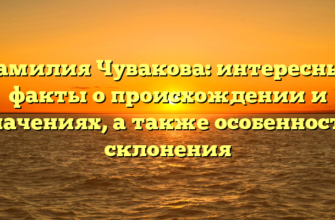 Фамилия Чувакова: интересные факты о происхождении и значениях, а также особенности склонения