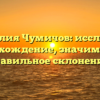 Фамилия Чумичов: исследуем происхождение, значимость и правильное склонение!