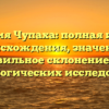 Фамилия Чупаха: полная история происхождения, значение и правильное склонение для генеалогических исследований