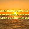 Фамилия Шалвович: история происхождения, значения и правильное склонение фамилии