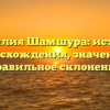 Фамилия Шамшура: история происхождения, значения и правильное склонение