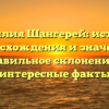 Фамилия Шангерей: история происхождения и значения, правильное склонение и интересные факты