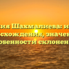 Фамилия Шахмалиева: история происхождения, значение и особенности склонения