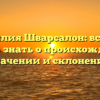 Фамилия Шварсалон: все, что нужно знать о происхождении, значении и склонении