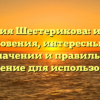 Фамилия Шестерикова: история возникновения, интересные факты о значении и правильное склонение для использования