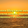 Фамилия Шеуджен: история происхождения, значение и особенности склонения