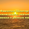 Фамилия Шингер: происхождение, значения и склонения в разных языках