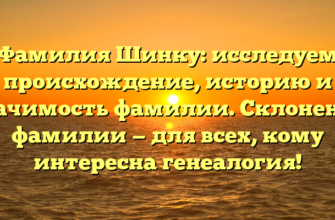 Фамилия Шинку: исследуем происхождение, историю и значимость фамилии. Склонение фамилии — для всех, кому интересна генеалогия!