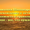 Фамилия Шишебаров: происхождение и история, значимость и правильное склонение – все, что нужно знать!