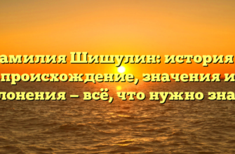 Фамилия Шишулин: история и происхождение, значения и склонения — всё, что нужно знать!