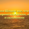 Фамилия Шлапа: все, что нужно знать о происхождении, истории и склонении