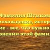 Фамилия Штыков: происхождение, история и значение – все, что нужно знать о склонении этой фамилии