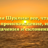 Фамилия Шуклин: все, что нужно знать — происхождение, история, значения и склонения