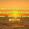 Фамилия Шуликин: происхождение, значимость и склонение — история интересных фактов