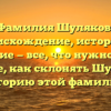 Фамилия Шуляков: происхождение, история и значение — все, что нужно знать! Узнайте, как склонять Шуляков и историю этой фамилии!