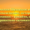 Фамилия Шушукин: всё о происхождении, истории и значении — узнайте, как правильно склонять!