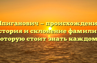 Шпиганович — происхождение, история и склонение фамилии, которую стоит знать каждому